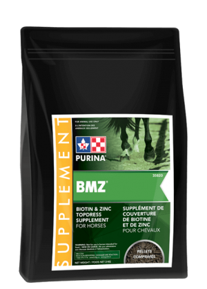  BMZ