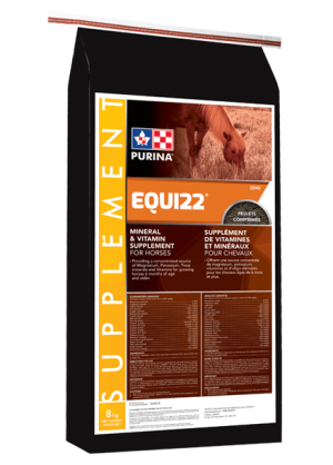  Equi22