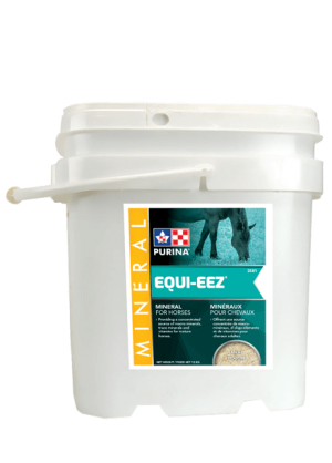  Equi-Eez