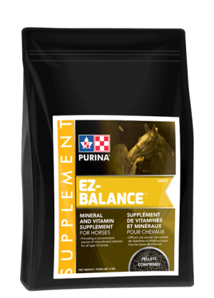  EZ Balance